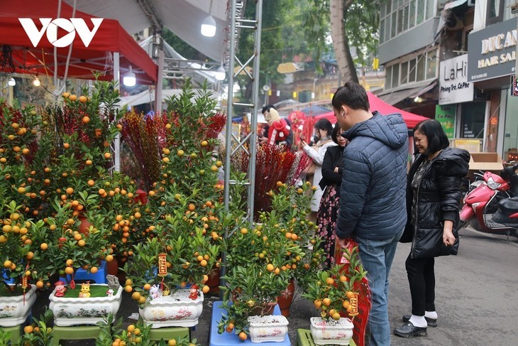 Le marché de fleurs de Hàng Luoc, un rendez-vous incontournable des ...