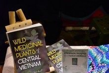 Le livre «Les plantes médicinales sauvages du Centre du Vietnam». Photo : NDEL.