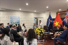 La délégation du Comité d'État chargé des Vietnamiens à l'étranger rencontre des représentants d'associations et d'organisations des Vietnamiens à Canberra, en Australie. Photo : VNA.