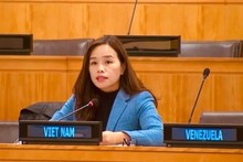 La ministre conseillère Lê Thi Minh Thoa, représentante permanente adjointe du Vietnam auprès de l'ONU. Photo : VNA