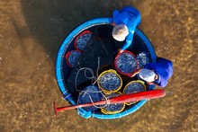 À la découverte des marchés aux poissons dans les villages de pêcheurs à Phu Yen