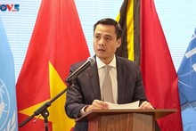 L’ambassadeur Dang Hoàng Giang, chef de la délégation vietnamienne auprès de l’ONU. Photo : VOV.