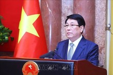 Le président Luong Cuong. Photo : VNA.