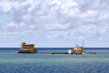 Le « foyer » des goélands sur l’île de Da Lon