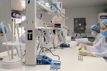 Recherche sur la production de vaccins contre le Covid-19. Photo : VNA.