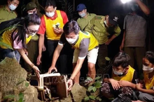 Des gens participent à une visite «Ramener les animaux à la maison» dans le parc national de Cuc Phuong, dans la province de Ninh Binh (au Nord du Vietnam). Photo : VNA.