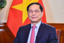 Le vice-Premier ministre Bui Thanh Son. Photo : VNA.