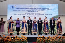 Le groupe TH vient d'inaugurer une ferme de 6 000 vaches laitières à Volokolamsk en Russie. Photo: baodautu.vn