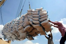 La VFA a signalé une croissance significative du volume et de la valeur des exportations au cours de la première quinzaine de janvier 2025. Photo : VNA.