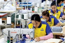 Les entreprises vietnamiennes doivent prendre l’initiative pour faire face aux fluctuations du marché international. Photo : VNA.