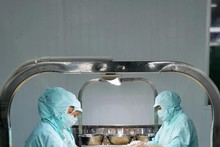 Les exportations vietnamiennes profitent des avantages tarifaires sur le marché néerlandais