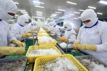 Le secteur de la pêche a besoin d’un nouvel élan de croissance face à de nombreux défis. Photo: congthuong.vn