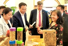 Des entrepreneurs sud-coréens ont visité et découvert les produits agricoles de Lam Dong. Photo : baolamdong.vn