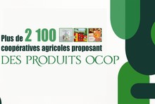 Plus de 2 100 coopératives agricoles proposant des produits OCOP