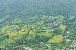 Le riz de Lùng Tao est le plus beau de la fin septembre au milieu d'octobre, lorsque les grains de riz sont murs et jaunissent progressivement. Photo : congluan.vn