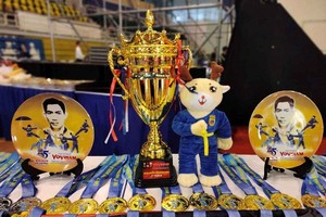 La coupe et les médailles du Championnat du Monde Vovinam Viêt Vo Dao. Photo : laodong.vn