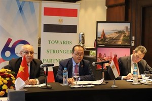 L’ambassadeur du Vietnam en Égypte Nguyên Huy Dung (centre) s'exprime lors de l'événement. Photo: VNA