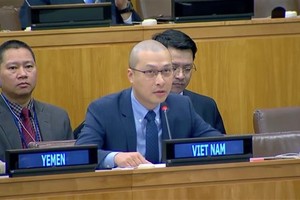 Le ministre-conseiller Nguyên Hoàng Nguyên, chef adjoint de la Mission permanente du Vietnam auprès de l'ONU. Photo : VNA.