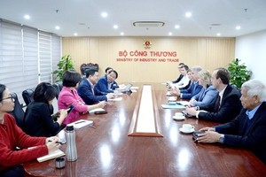 Séance de travail entre le vice-ministre de l'Industrie et du Commerce, Nguyên Sinh Nhât Tân, et des représentants de Novatek. Photo : VNA.