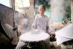 Le métier de fabrication de galettes de riz de Tuy Loan dans la commune de Hoa Phong. Photo : Nhandan.vn