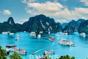 La baie de Ha Long et Cat Bà deviennent le tout premier patrimoine culturel mondial 