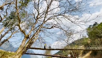 Câu Mây à Sa Pa, destination idéale pour les touristes