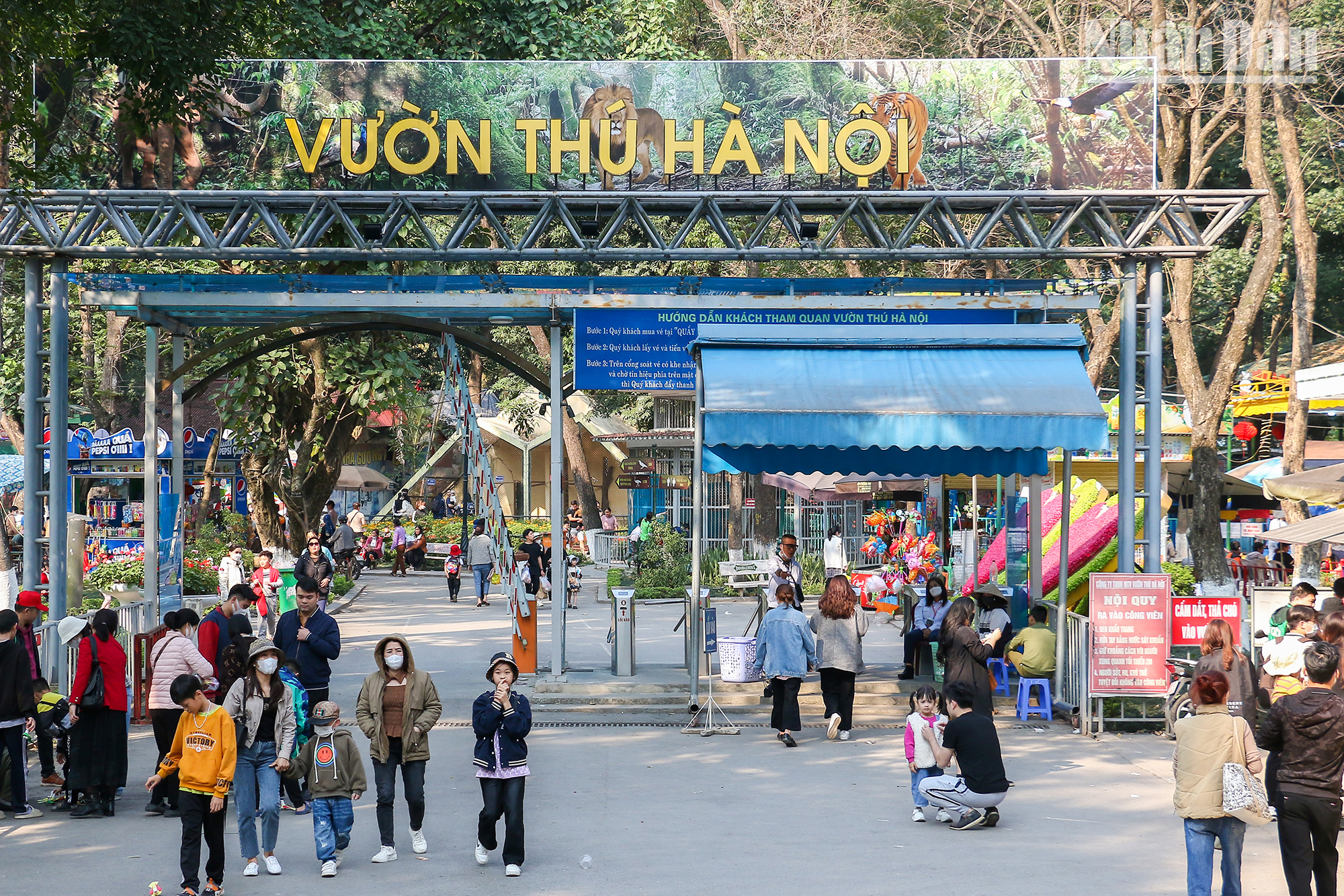 Hanoï : le parc zoologique de Thu Lê et ses particularités