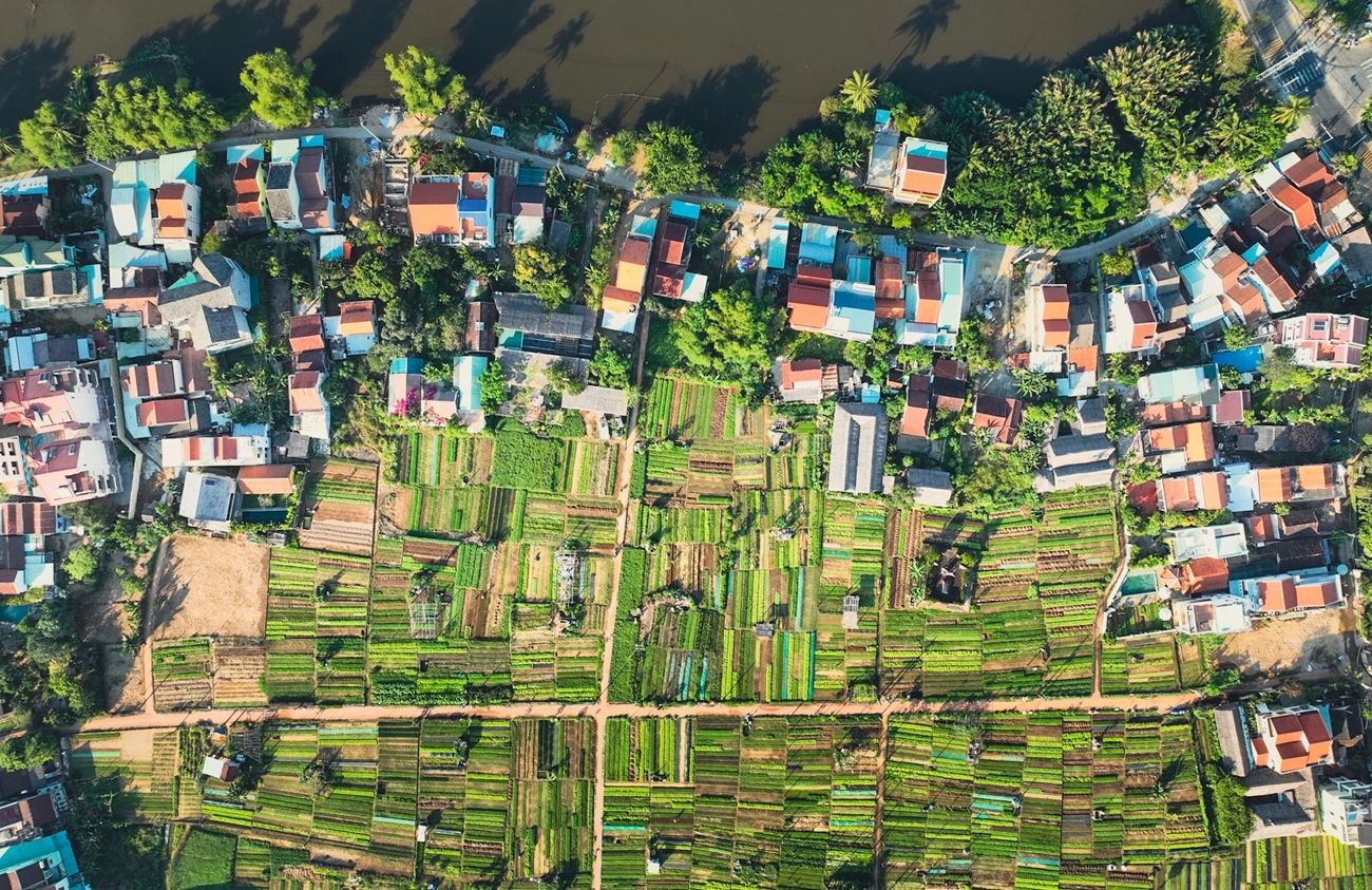 Le village maraîcher de Tra Que vu d’en haut. Photo : VnExpress.