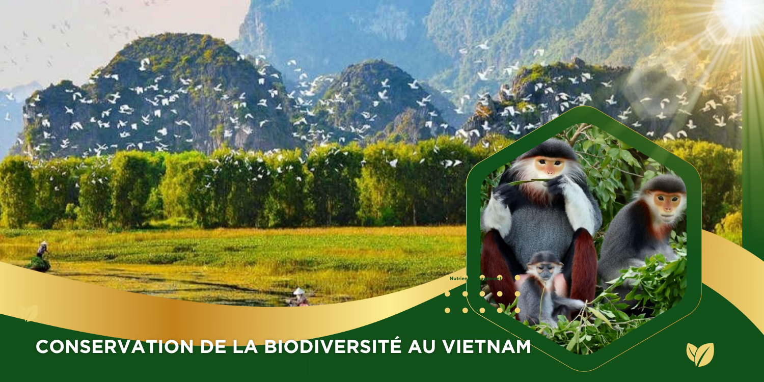 Renforcer l'efficacité de la conservation de la biodiversité