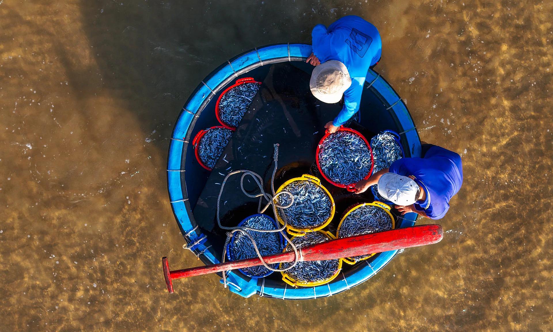À la découverte des marchés aux poissons dans les villages de pêcheurs à Phu Yen