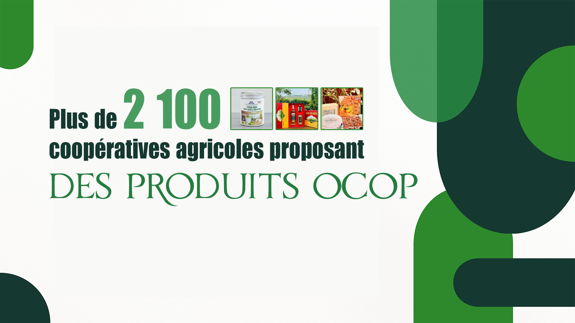 Plus de 2 100 coopératives agricoles proposant des produits OCOP