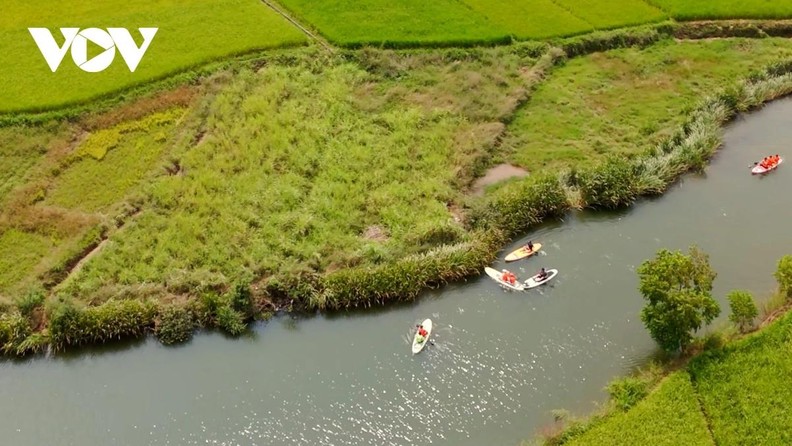 À la découverte de la saison dorée dans la vallée de Bac Son ảnh 3