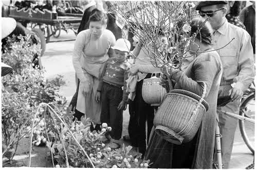 Entre tradition et modernité, le Têt s’impose toujours comme un trait unique de la culture vietnamienne ảnh 3