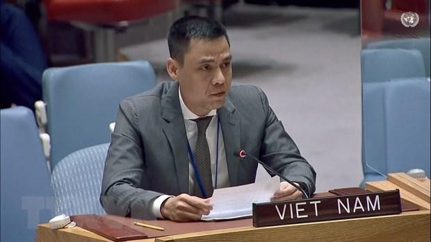 Le représentant permanent du Vietnam auprès de l’ONU Dang Hoàng Giang. Photo: VNA.