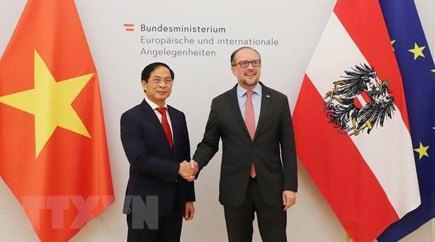 Le ministre des Affaires étrangères, Bui Thanh Son (gauche), et son homologue autrichien, Alexander Schallenberg. Photo : VNA.
