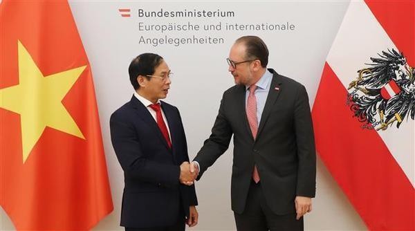 Le ministre autrichien des Affaires étrangères Alexander Schallenberg et le ministre des Affaires étrangères Bùi Thanh Son (gauche) en Autriche. Photo : VNA