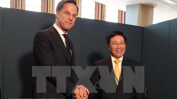 Le vice-Premier ministre permanent vietnamien Pham Binh Minh (droite) rencontre le Premier ministre néerlandais Mark Rutte. Photo : VNA