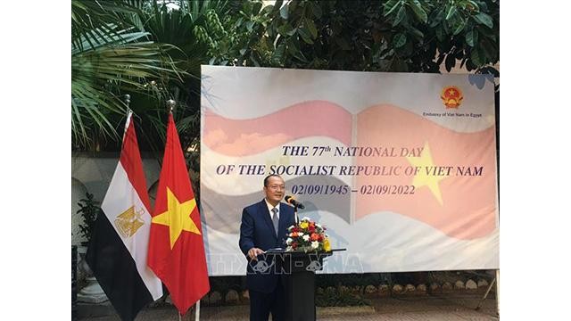 L’ambassadeur extraordinaire et plénipotentiaire du Vietnam en Égypte, Nguyên Huy Dung, s'exprime lors de l'événement. Photo: VNA