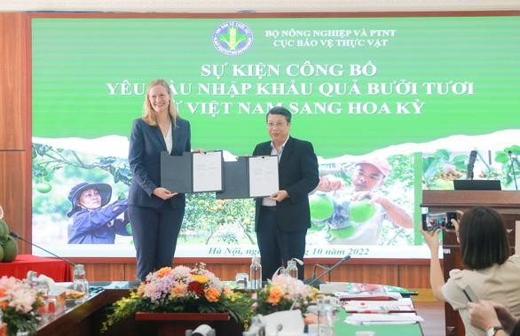 Le Département américain de l'Agriculture a annoncé le 4 octobre l'autorisation d'importer des pamplemousses vietnamiens. Photo : tuoutre.vn.