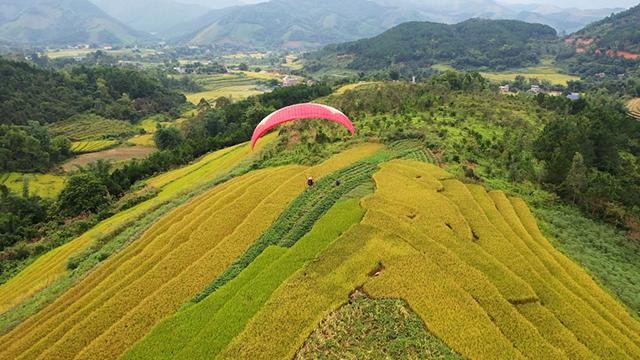 Le Festival de parapente « Survoler les champs dorés de Binh Liêu 2022 » attire plus de 150 pilotes de parapente à travers le pays. Photo : VOV.