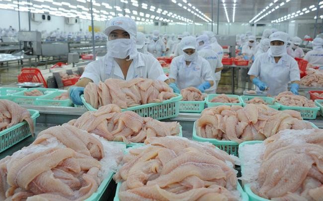 À la fin du troisième trimestre, les filets de poisson tra congelés du Vietnam exportés vers les États-Unis ont augmenté de 19% en volume par rapport à la même période l'an dernier. Photo : congthuong.vn.