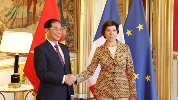 Le ministre vietnamien des Affaires étrangères Bui Thanh Son (à droite) et son homologue française Catherine Colonna, à Paris, le 5 juin. Photo : VNA