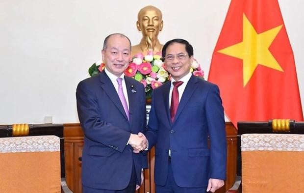 Le ministre des Affaires étrangères, Bui Thanh Son (droite), et le vice-ministre japonais des Affaires étrangères, Takagi Kei. Photo: baoquocte.vn