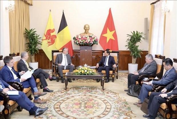 Le ministre des Affaires étrangères, Bui Thanh Son reçoit le Ministre-Président de la Fédération Wallonie-Bruxelles, Pierre-Yves Jeholet. Photo : VNA 