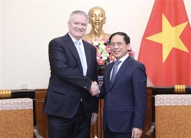 Le ministre des Affaires étrangères Bui Thanh Son (à droite) et le secrétaire général de l'Organisation de Coopération et de Développement économiques (OCDE) Mathias Cormann. Photo : VNA.