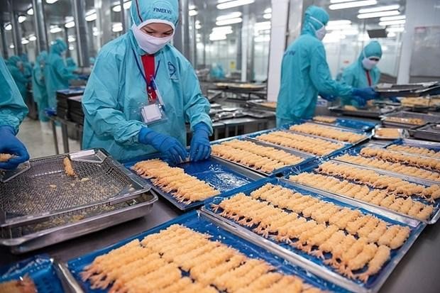 Transformation de crevettes pour l'export à la société Sao Ta. Photo: haiquanonline 