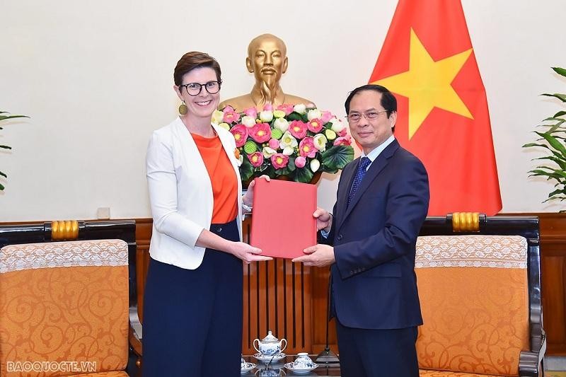 Le Vietnam salue la coopération de l’Organisation mondiale de la Santé