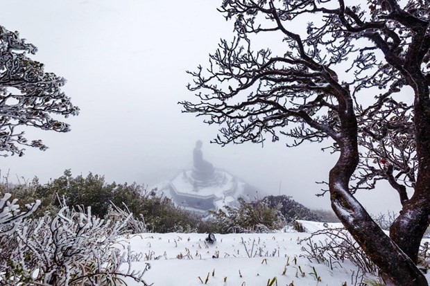 Chute de neige sur le mont Fansipan. Photo : VNA.