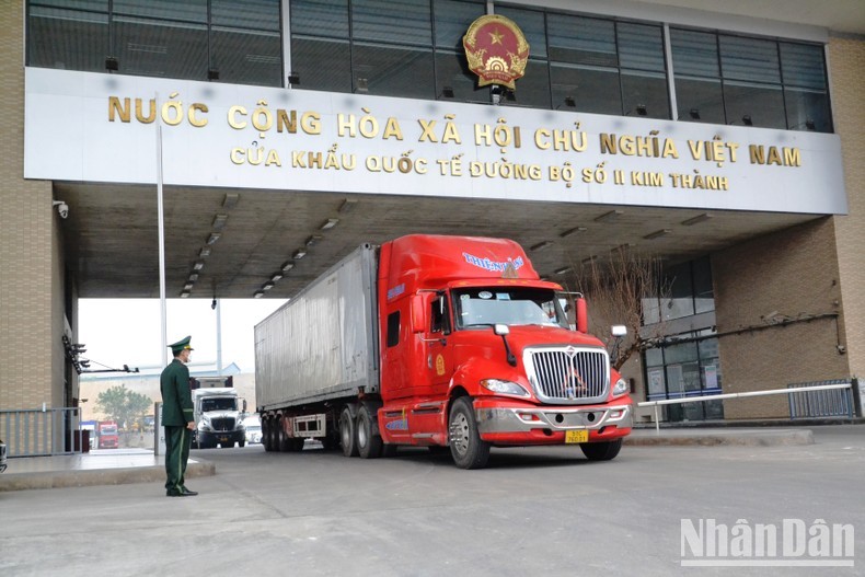 150 tonnes de fruits du dragon exportées via le poste-frontière de Kim Thành à Lào Cai. 