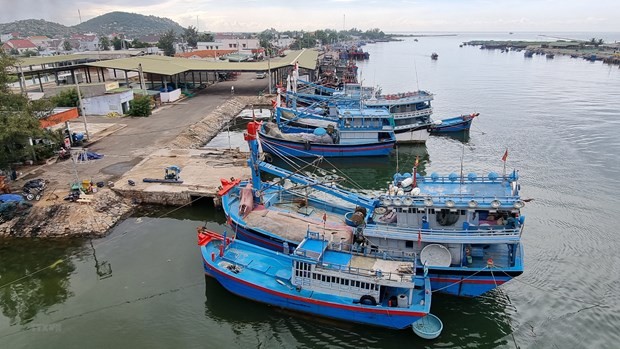 Bateaux de pêche de la province de Ninh Thuân (au Centre du Vietnam). Photo : VNA.